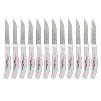 کارد میوه خوری مینیاتور مدل B1-12 بسته 12 عددی